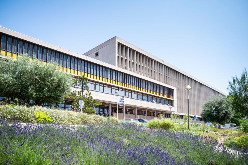 Site principal : Campus de la Timone, Marseille - Crédit : Elea Ropiot amU