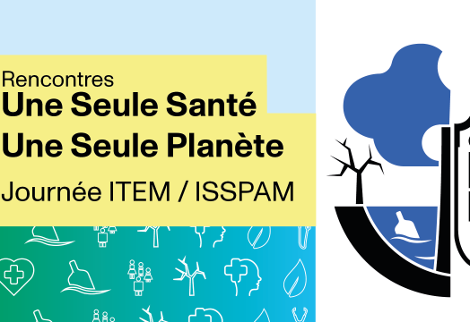 Visuel site ISSPAM ITEM
